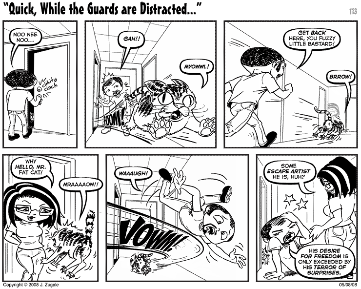 Quick, While the Guards are Distracted...